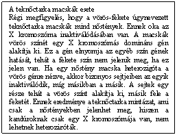 Szvegdoboz: A teknctarka macskk esete  Rgi megfigyels, hogy a vrs-fekete gynevezett teknctarka macskk mind nstnyek. Ennek oka az X kromoszma inaktivldsban van. A macskk vrs sznt egy X kromoszms dominns gn alaktja ki. Ez a gn elnyomja az egyb szn gnek hatst, teht a fekete szn nem jelenik meg, ha ez jelen van. Ha egy nstny macska heterozigta a vrs gnre nzve, akkor bizonyos sejtjeiben az egyik inaktivldik, mg msikban a msik. A sejtek egy rsze teht a vrs sznt alaktja ki, msik fele a fekett. Ennek eredmnye a teknctarka mintzat, ami csak a nstnyekben jelenhet meg, hiszen a kandroknak csak egy X kromoszmja van, nem lehetnek heterozigtk.  