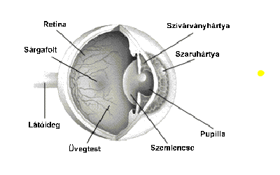 kapormag a látás javítása érdekében szemész Kozhukhovskaya